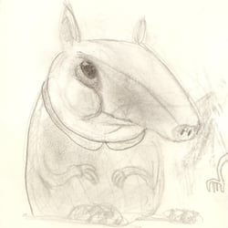 Scangnen0008