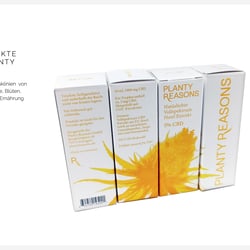 Strategische Kommunikation – Brand Identity