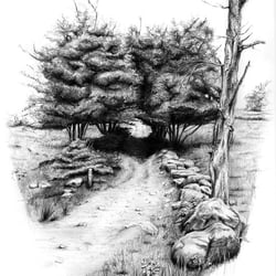 Gate