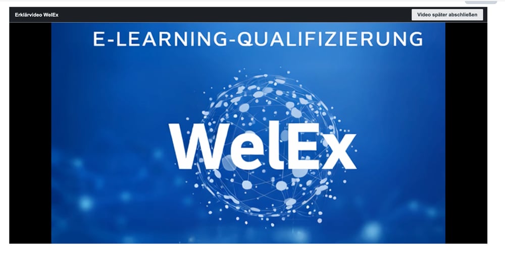 E-Learning Qualifizierung WelEx – Moodle Kursübersicht