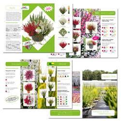 Broschüre zum Herbstangebotes eines Gartenbaubetriebes