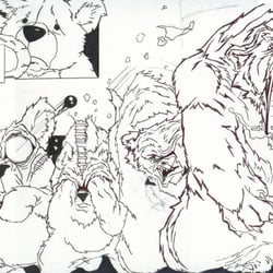 bear1
