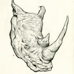 Nashorn