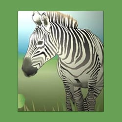 Freie Arbeit, Illustrator und Photoshop