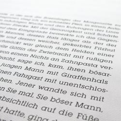 Stilübungen / Raymond Queneau