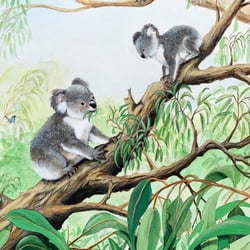 Koalas / Wasserfarben/ Acryl