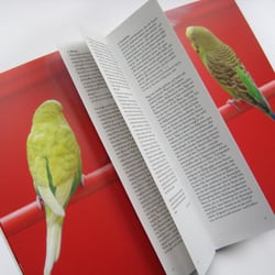 Ausstellungskatalog