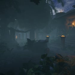 Amazonas_Forest_Shot_8