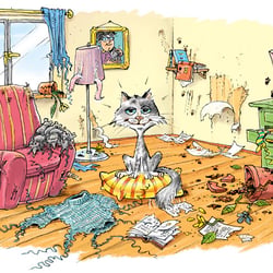 Illustration Katzenlaune