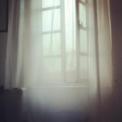 carolina harkort photography