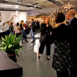 Ausstellungsdesign-apriori-design