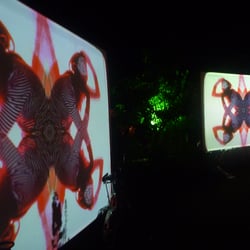 Fusion Festival