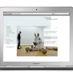 web stnds 06 1