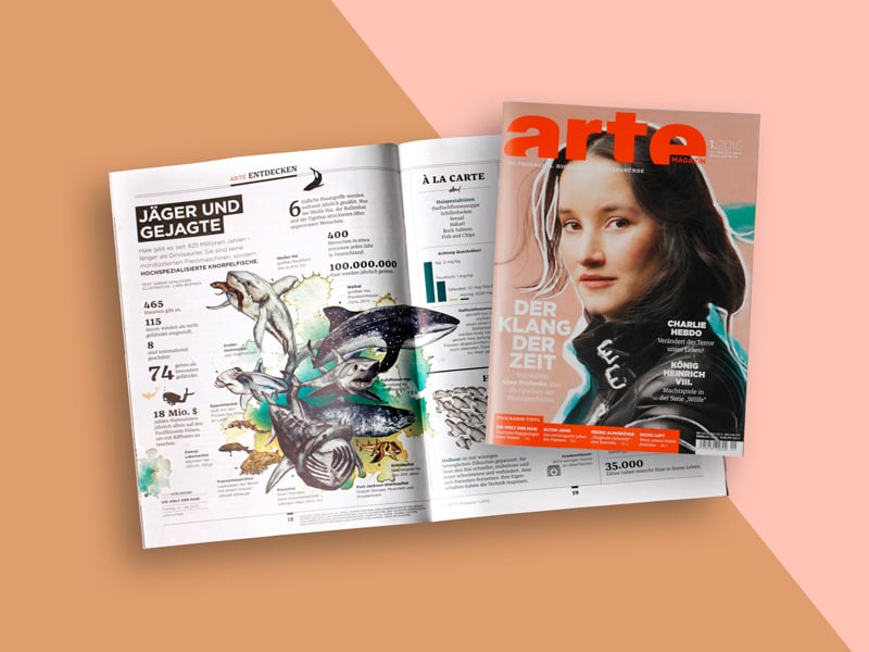 Hai-Illustrationen für das ARTE Magazin