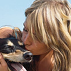 MERADOG Hundefutter Broschüre (in Auszügen)