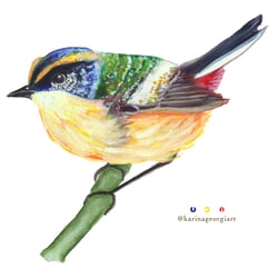 Siete Colores