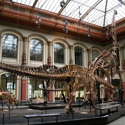 Museum für Naturkunde Berlin