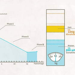Fastencoach Infografik Gewichtsschwankungen beim Fasten