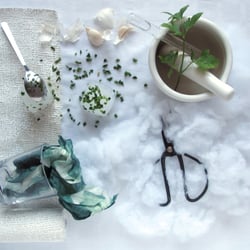 Material Board – Bread Rituals – Fresh