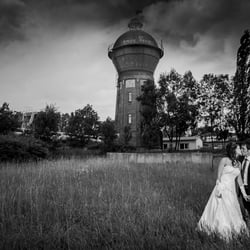 IMG 4842