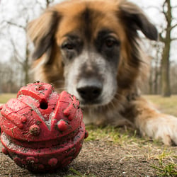 ball01