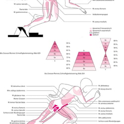 blv, Grosser/Renner, Schnelligkeitstraining