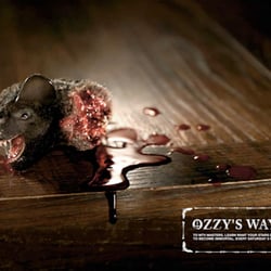 TV Masters | Kunde: MTV | Agentur: BBDO | Fotografie: Markus Wendler