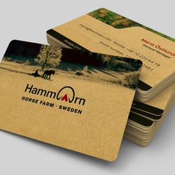 VK Hammarn