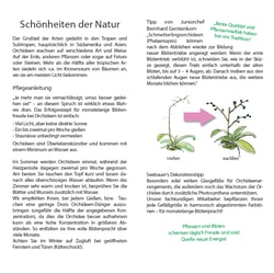 Flyer Wickelfalz Gartencenter (Text, Foto, Grafik, Design)