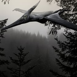 Flight above the Black Forest