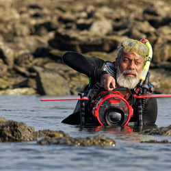 Guru