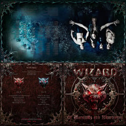 Gatefold – Cover LP