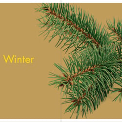 Winterseite