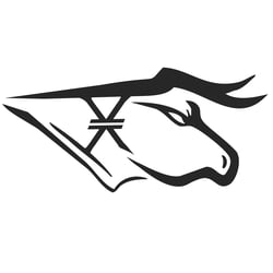 XNFTrading Logo Desgin