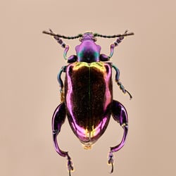 Bug-#3
