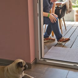 mops und guido um die ecke 1