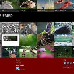 www.reinerleifried-photography.de – Webgalerie des Naturfotografen Reiner Leifried