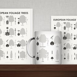 Identification Chart European Foliage Trees