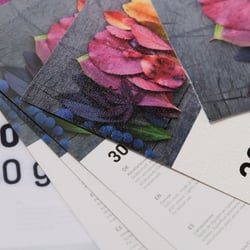 Papierproben für Printmaterial