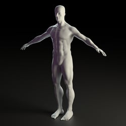 Anatomiestudie in ZBrush