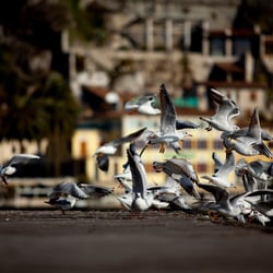 take off