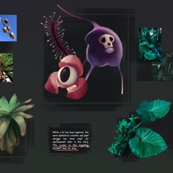 Environment Ideation