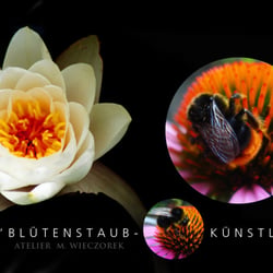 Bluetenstaubkuenstler