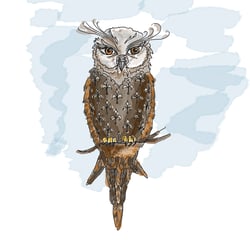 Eule/Owl