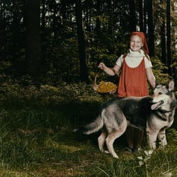 xil vesser2014 010