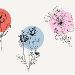 Illustrationen für Samentütchen zum Selberfalten