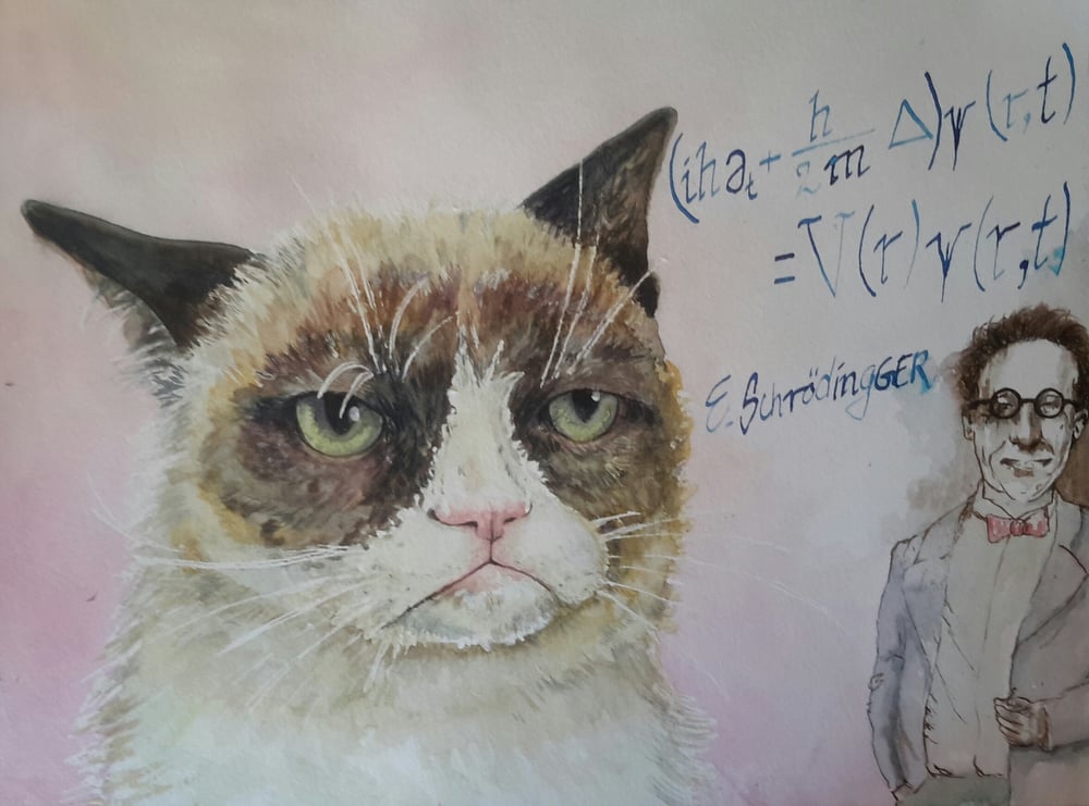 Schrödingers Katze