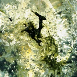 Fotografie; Eis3 – Serie  Nahaufnahme, eingefrorene Algen und  Wasserblasen , digital nachbearbeitet