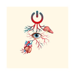 Auge, Herz, Auschaltknopf, Leber, Adern, Venen