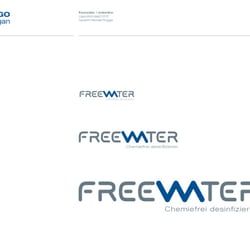 freewater :: CD – Entwicklung